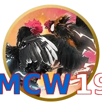 MCW19